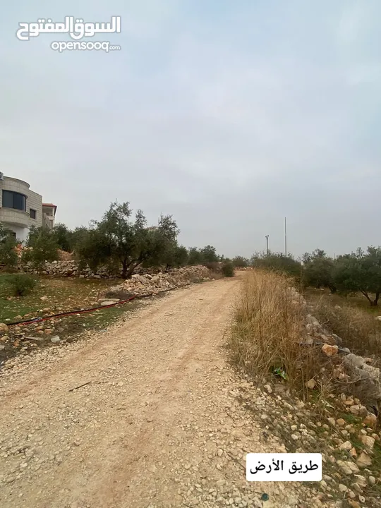 ارض للبيع نابلس_طلوزه