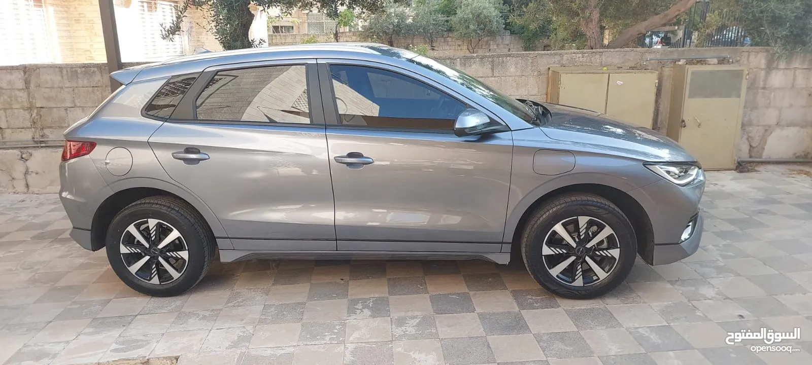 BYD E2 2024 LUXURY