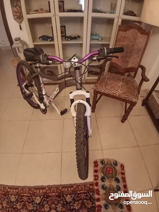 دراجه هوائيه امريكيه جينسس 26
