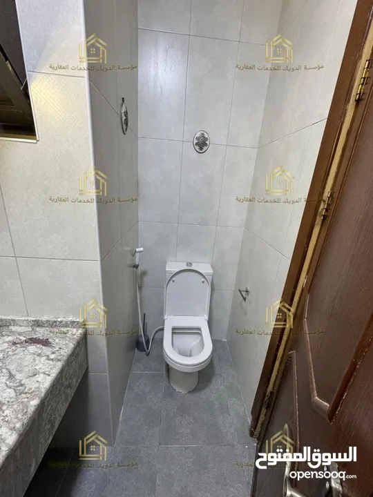 شقة مع روف سوبر ديلوكس