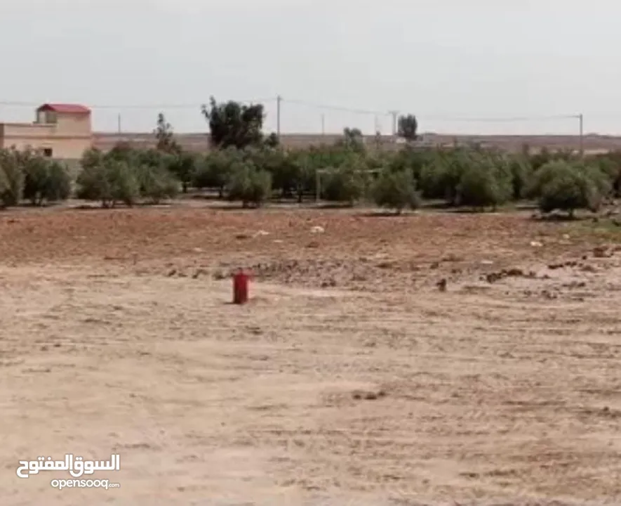 فرصه ذهبية على قطع أراضي استثمارية؛في محافظة المفرق في قرية الحميدية. بمساحات 750 م و 1000 م دونم