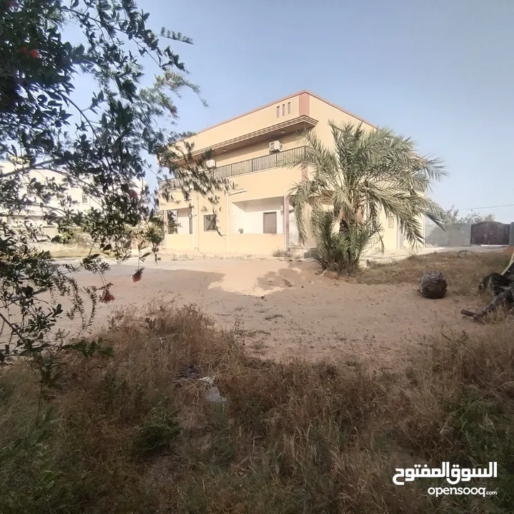 2 منازل - أرضي - دور أول - للإيجار - كرزاز - بالقرب من سوق البركة  ومدرسة عثمان بن عفان