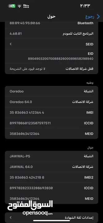 ً13pro mix