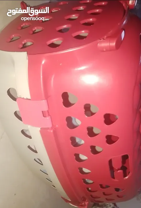 بيع مستلزمات قطط بحاله جيده
