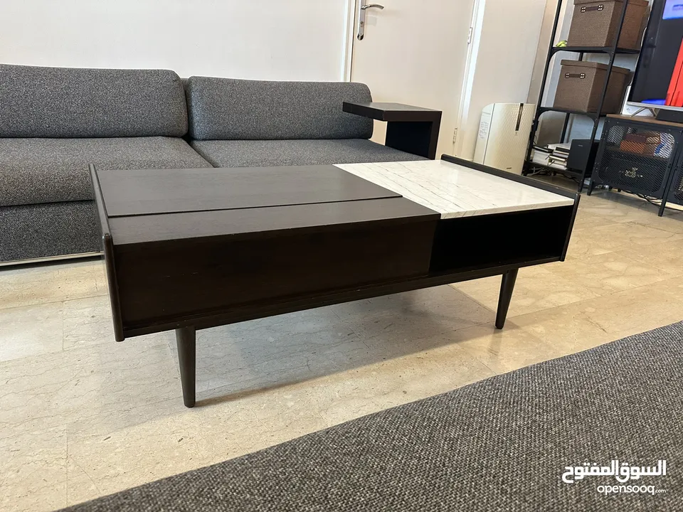 Storage Coffee Table