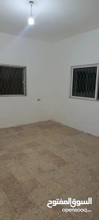 شقه للايجار