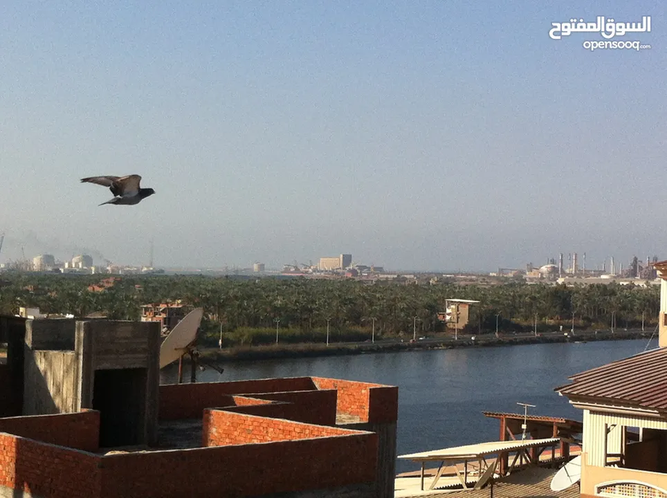 شقة للبيع مساحة (170م) + رووف مفتوح خاص (140م) - إطلالة عالية ورؤية مميزة على النيل