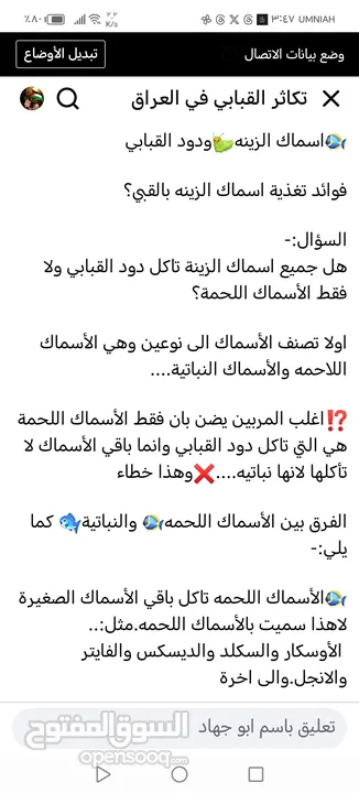 يرقات دود القبابي حي ميلوورم mealworm غذاء ممتاز بروتين حيواني لا يسبب التشحيم للطيور والاسمام