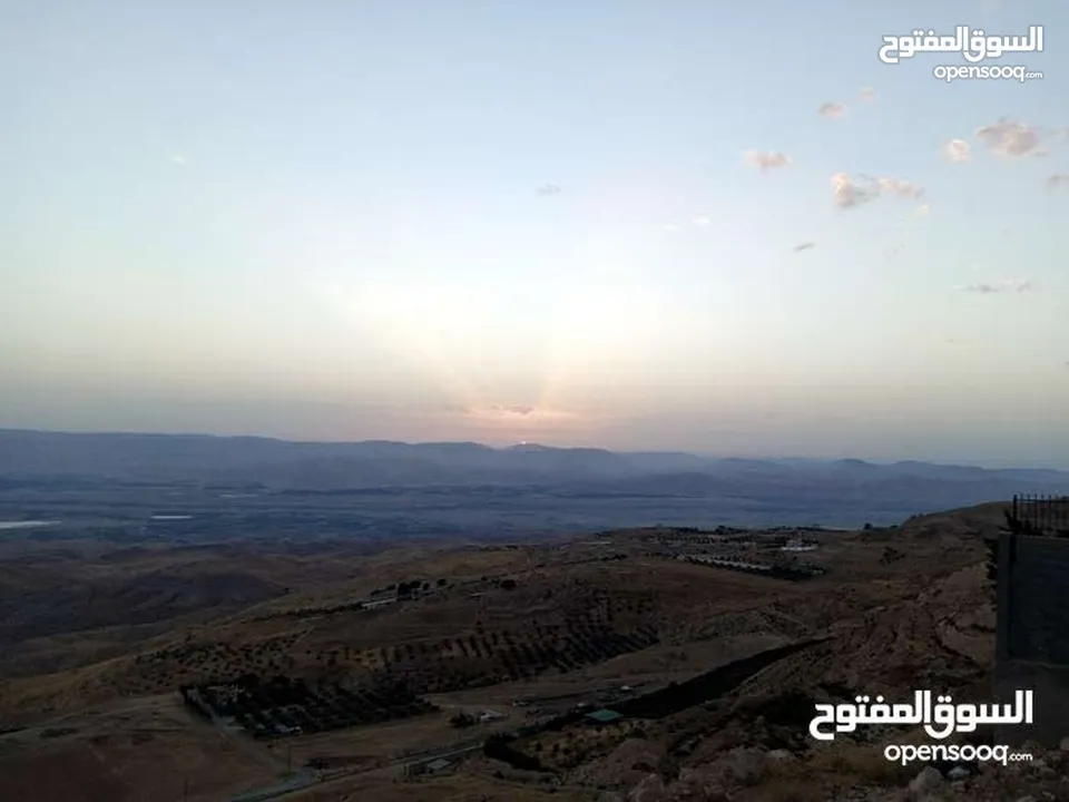 ارض 15 دنم السلط البطين اطلالة غربية كاملة ع جبال فلسطين