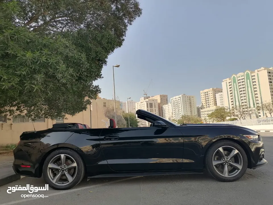 فورد موستنج ستة سلندر 2017 كشف Ford Mustang V6 Convertible