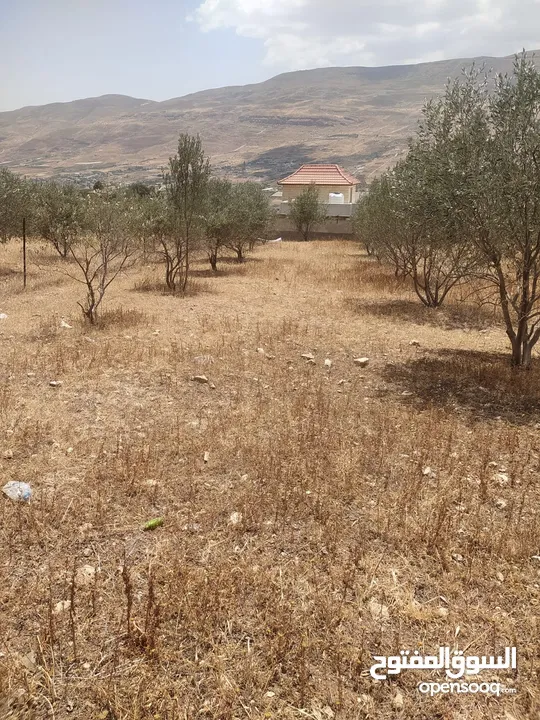 بيع قطعة ارض