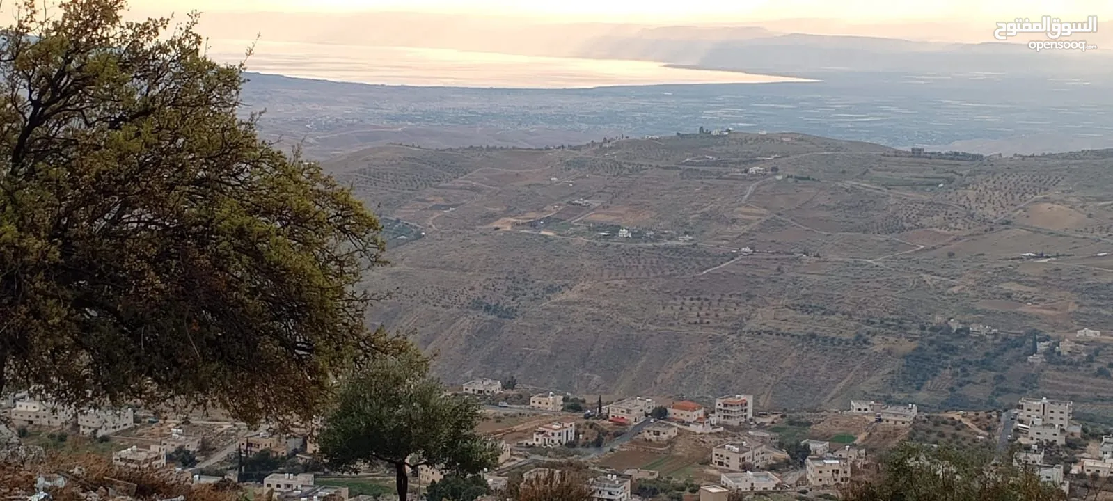 قطعة ارض  ثلاث شوارع اطلالة بانوراما على فلسطين والبحر الميت واجهة كبيرة