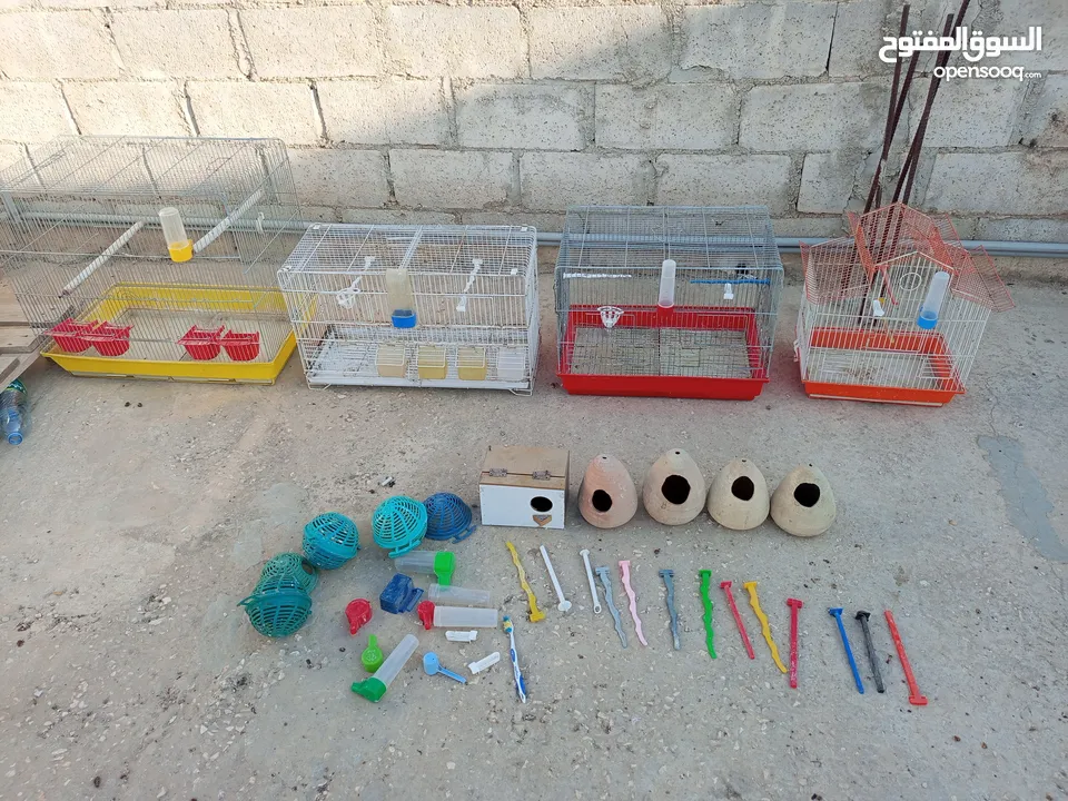 اقفاس عصافير مع أغراض عشوش فخارات اصابع مشارب أقرأ الوصف