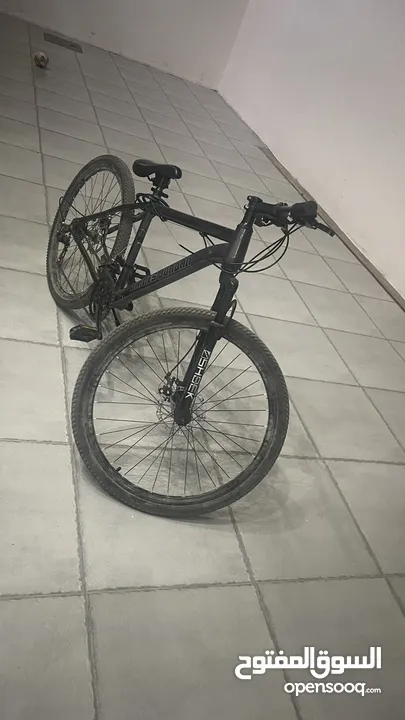 Bicycle for sale