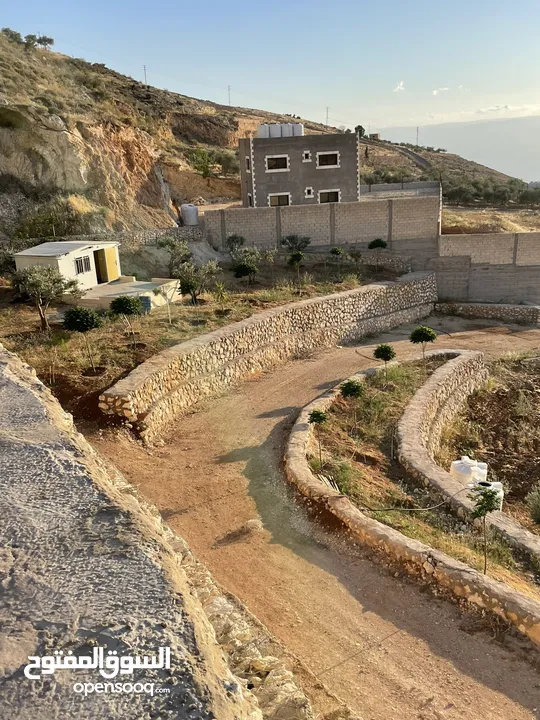 مزرعة في مغاريب السلط من المالك مباشرة
