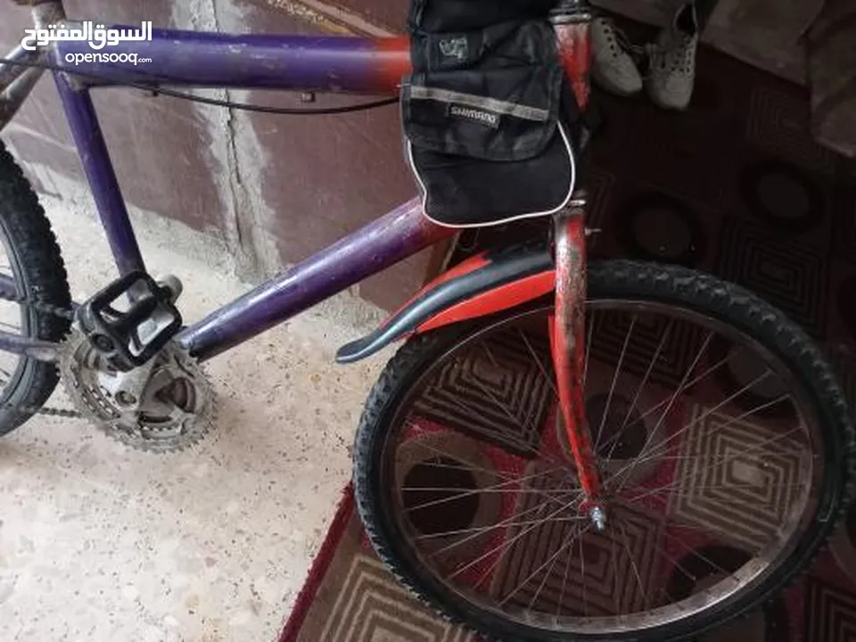 بسكليت نمره 24 ما بحتاج اشي
