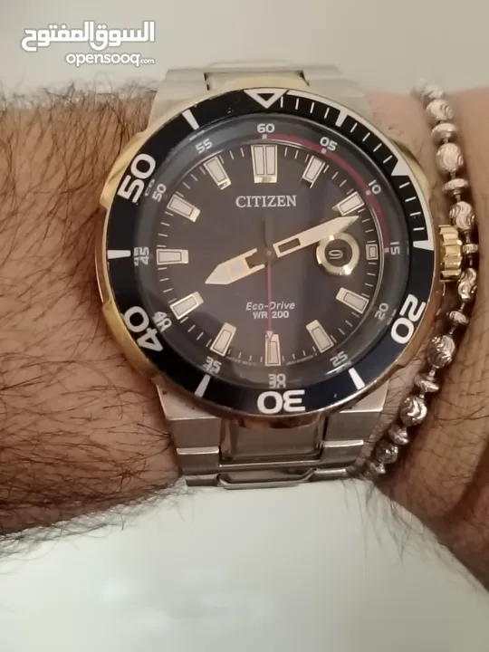 Citizen Endeavor two tone