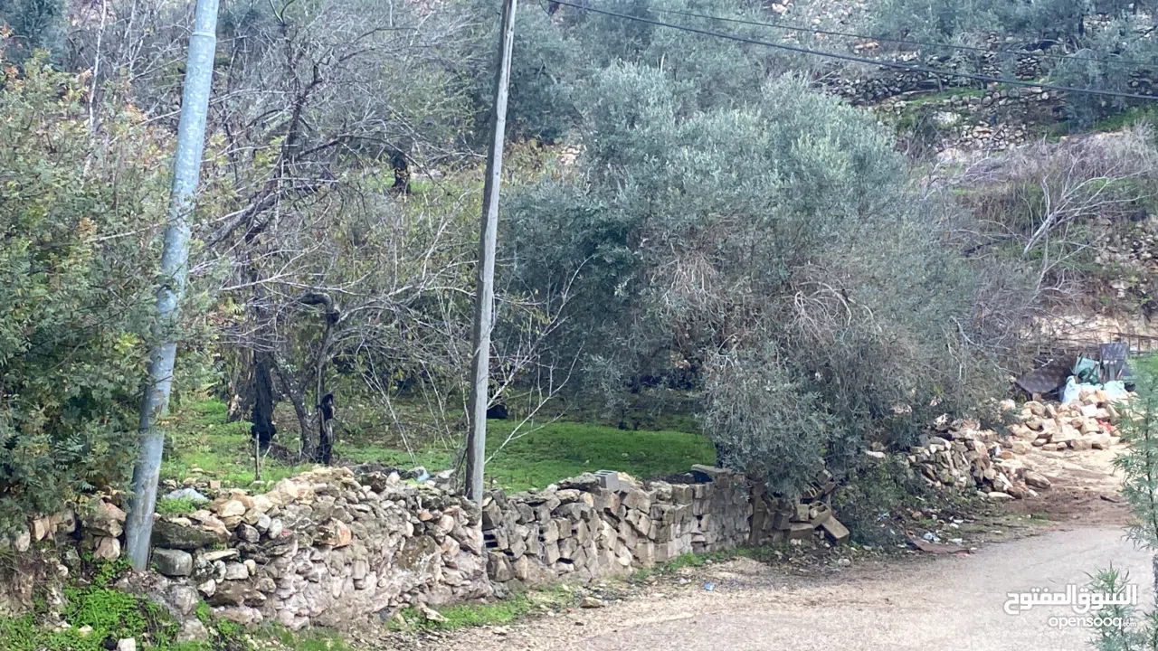 اشتري كاش... ومبروك مقدّمًا لصاحب النصيب سعر ببلاش - ارض 240 متر بموقع ممتاز