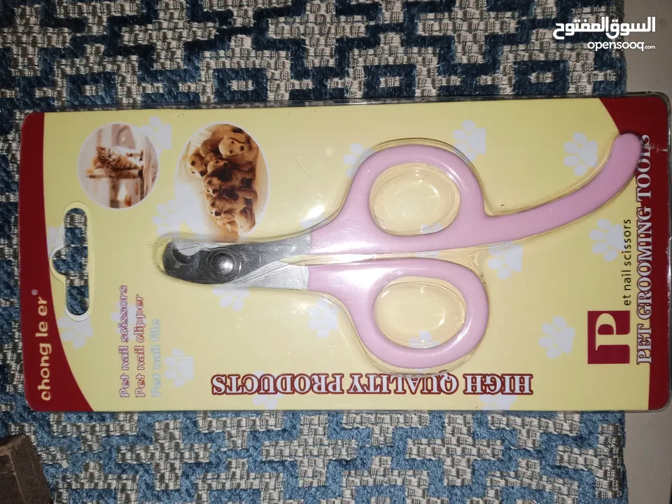 قطة انثى شيرازي هملايا للتبني مجانا عمر تسع اشهر مع ملحقاتها غير مؤذية وتحب اللعب و نظيفة