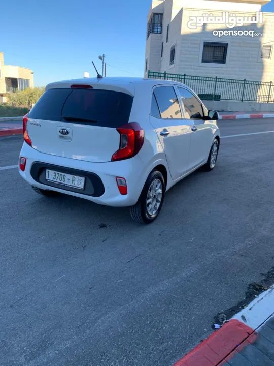 كيا بيكانتو كرتونه