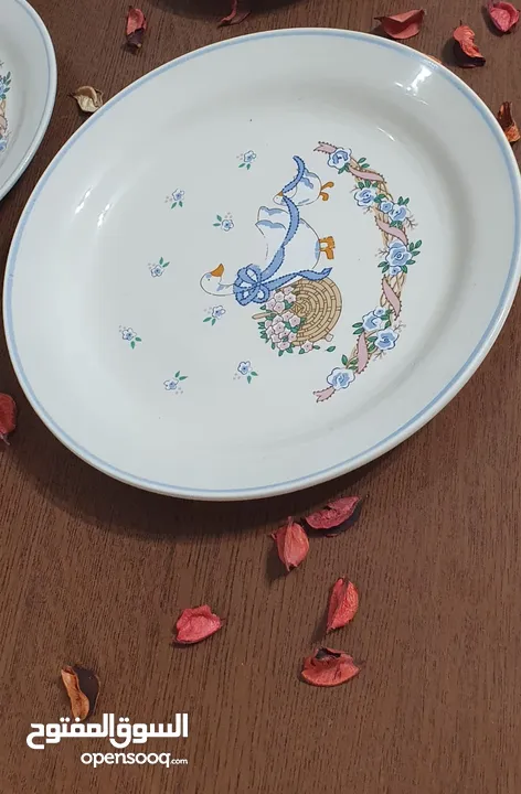 صحون HEIPEI للبيع