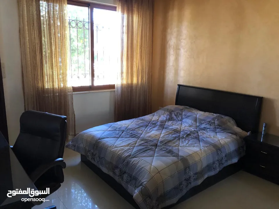 فيلا مفروشه للايجار في عبدون ( Property 40254 )-175089630
