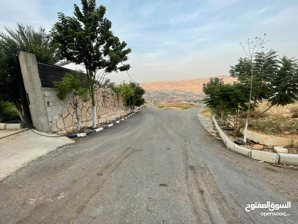 ارض للبيع في النصارية
