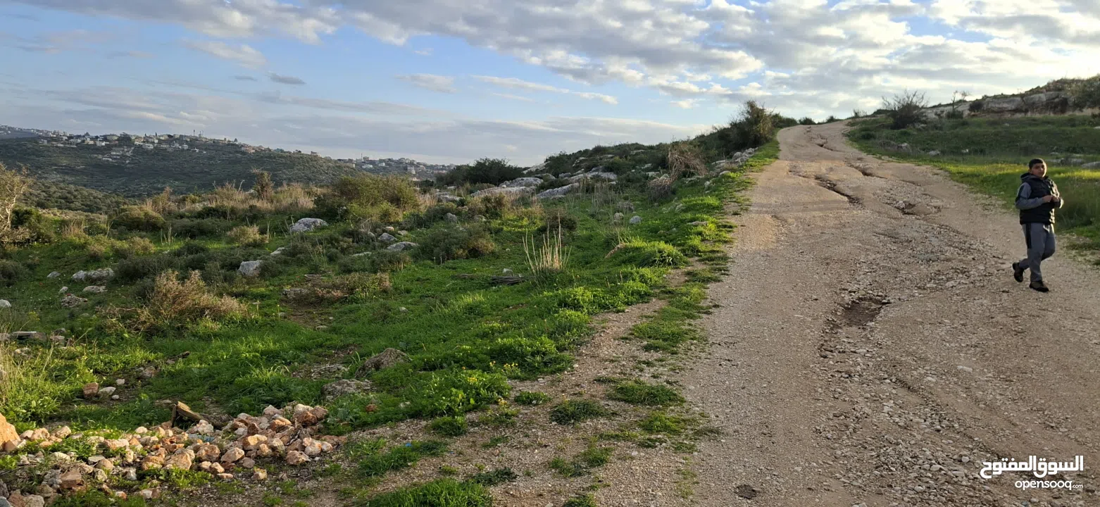 دونم ارض طابوا فلسطيني منطقة (B)بالقرب من دوار كفرصور جميع الخدمات فيها عليها شارع 12متر موقع مميز