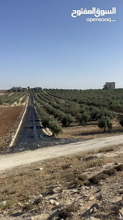 ارض للبيع في حسبان قريبة من شارع المطار ومرج الحمام على شارع مأدبا الغربي قريبة من الجامعة الألمانية