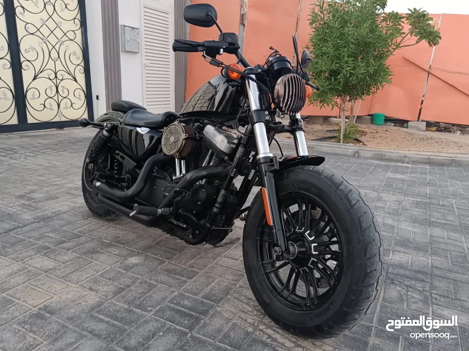 Harley 48 Sport Very Clean (1200 CC)