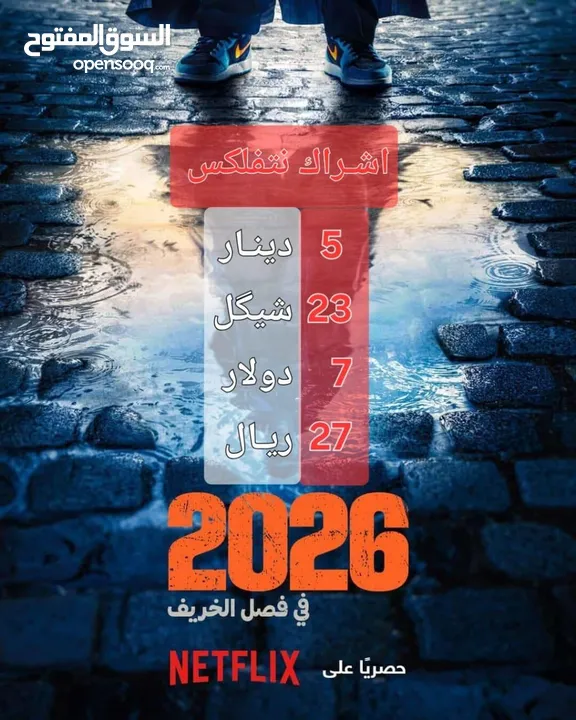 اشتراك سنه نتفلكس ع حسابك سخصي