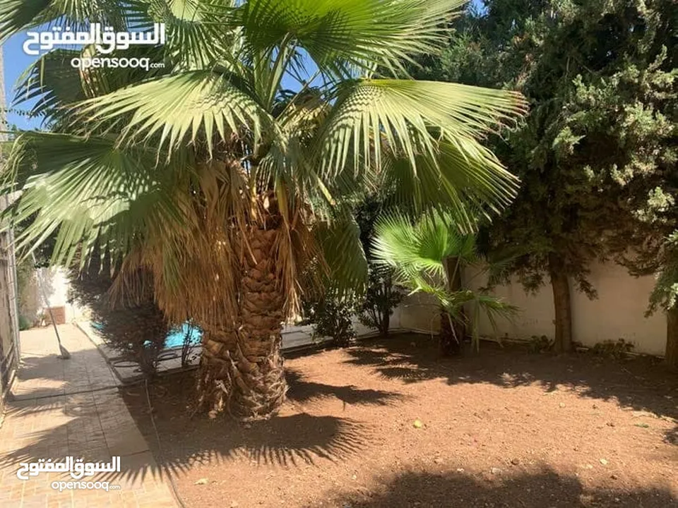 فيلا سوبر ديلوكس أرقى واجمل مناطق عبدون اعلان رقم (V38)
