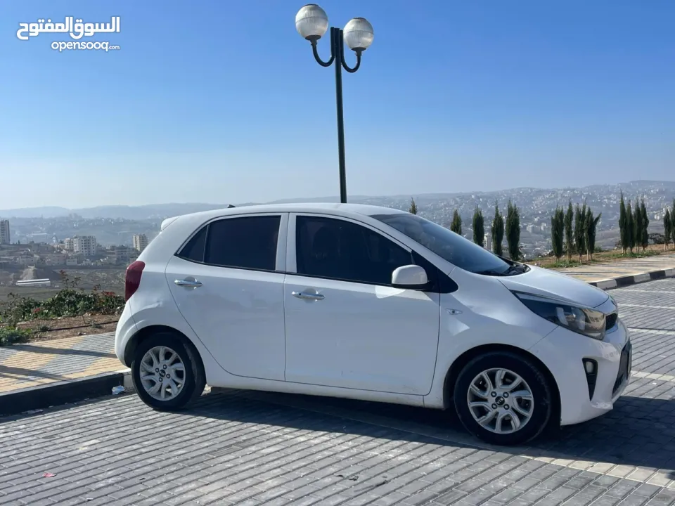 كيا بيكانتو 2019 فل اضافات