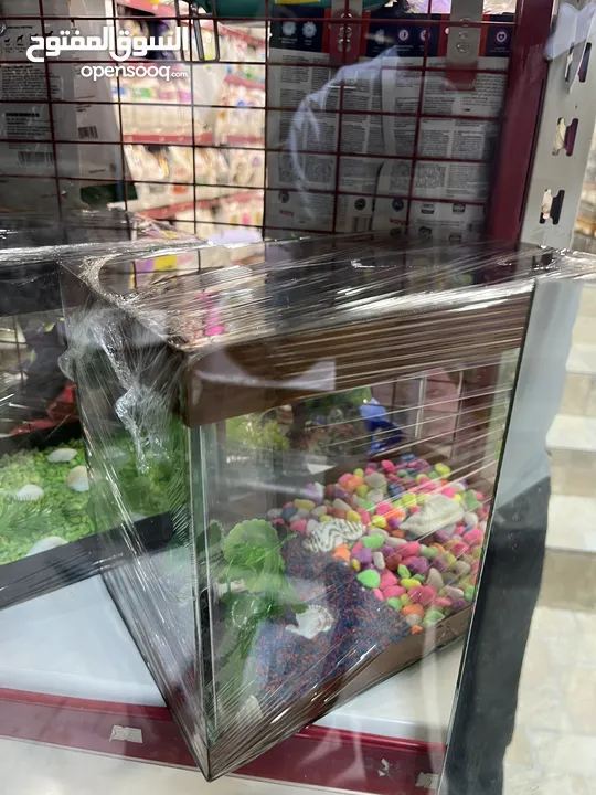 أحواض سمك مميز عروض خيالية جودة عالمية تابع الوصف