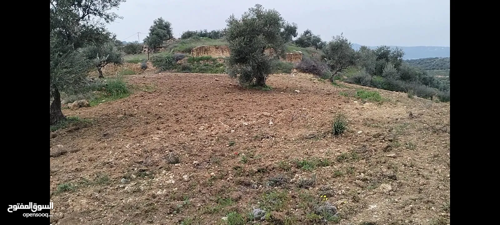 أرض مميزة جداً لعمل شاليه استثماري أو مزرعة خاصة أو مزرعة تجارية يوجد بها قناة ماء من المالك مباشرة