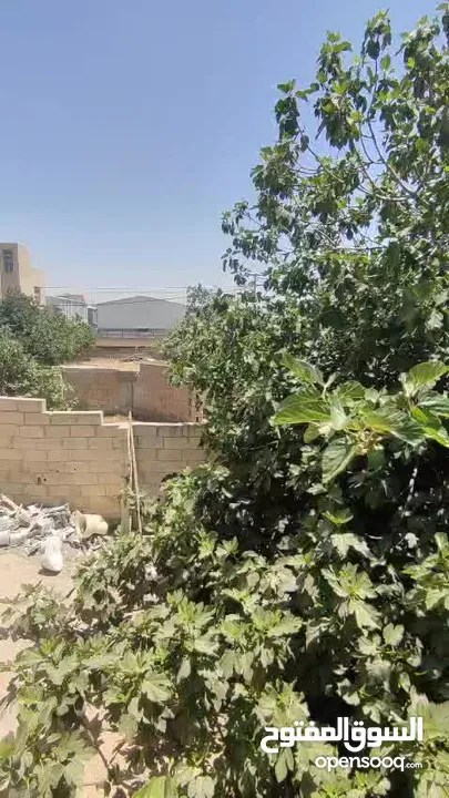 مخازن تجارية مميزة في الرجيب بسعر مميز جدا