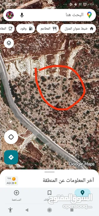 القبة الذهبية ارضي بلعا دير الغصون قرب بجورا