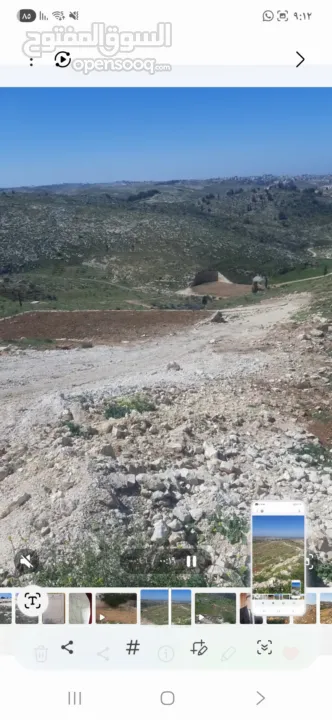 قطعة ارض مميزه للبيع الخليل دورا خلة العقد مساحة الارض 590 متر