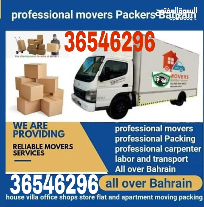 professional House Movers packers