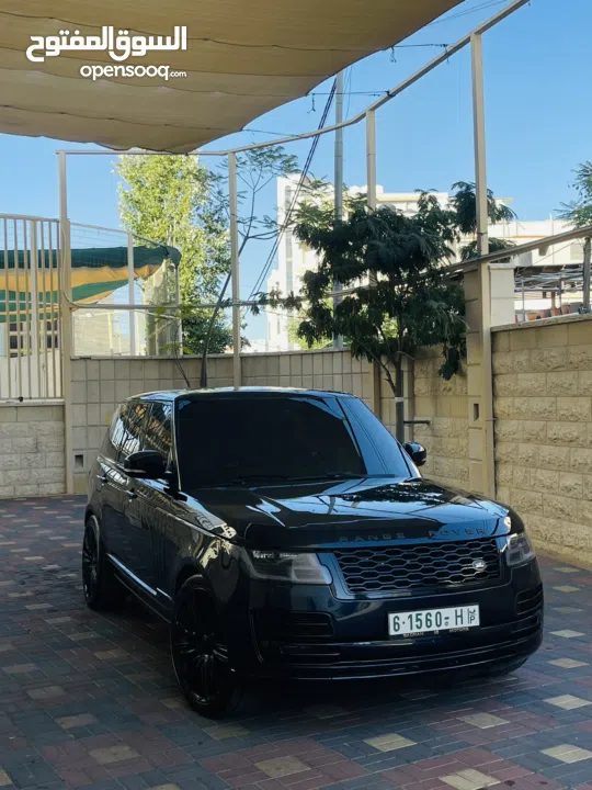 قصي ابو معلا