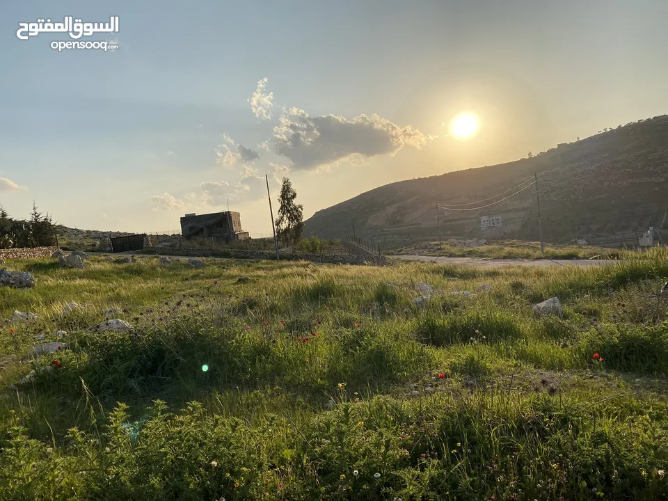 مزرعة للبيع في يرقا-السلط، إسكان المهندسين