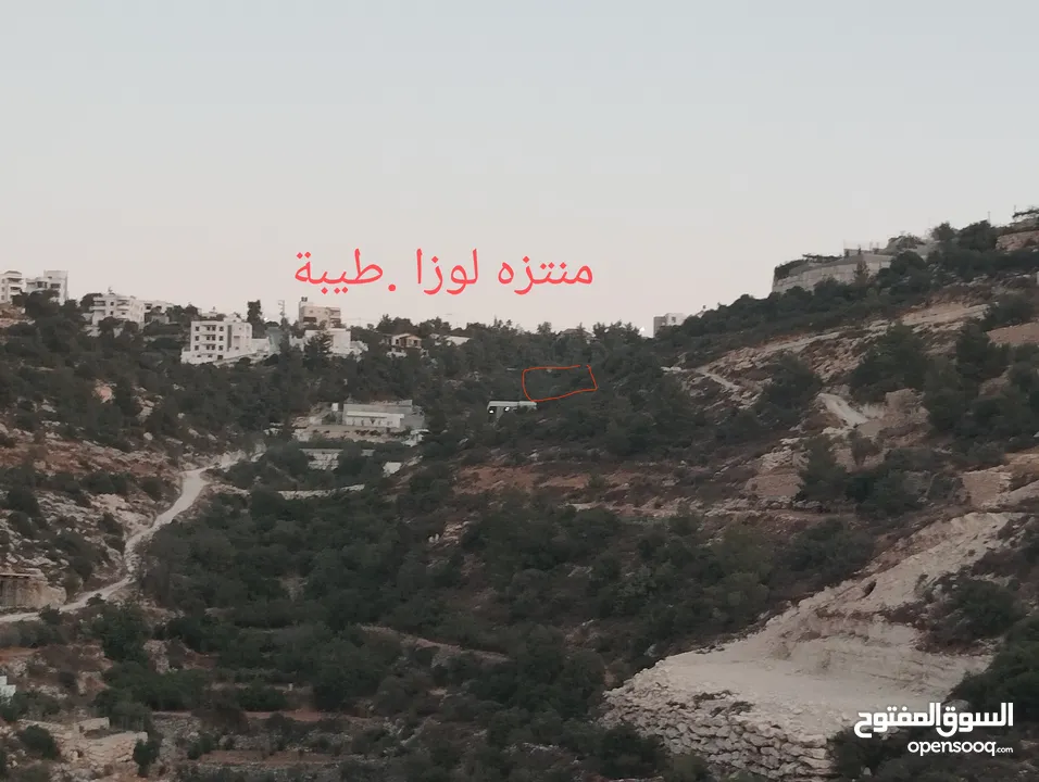 أرض مطلة وكاشفة في لوزا