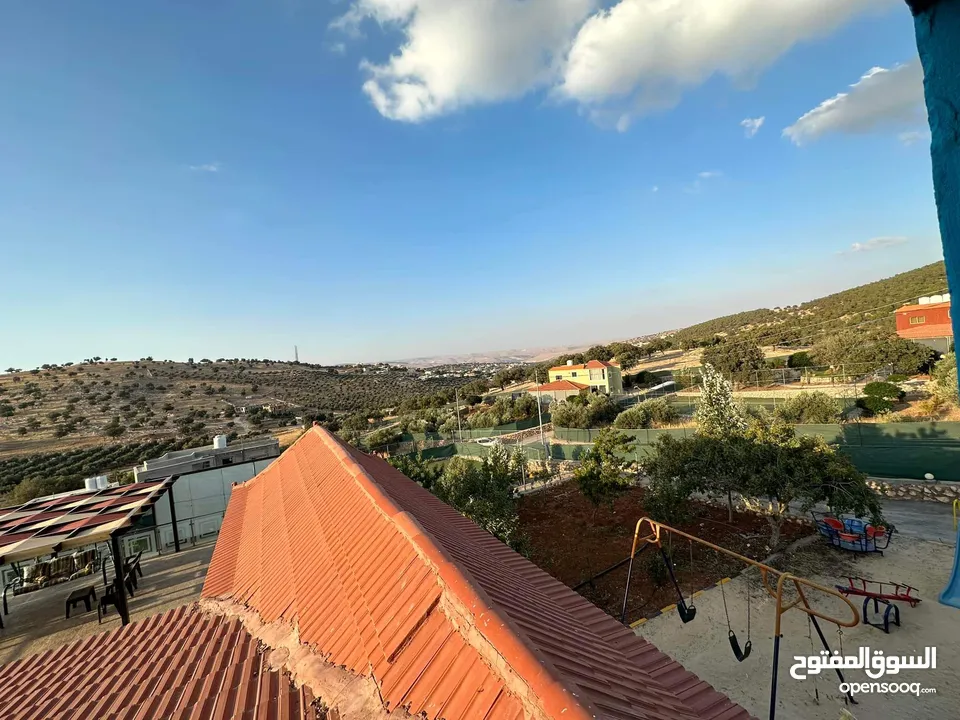 شارع الاردن الكمشة العالوك