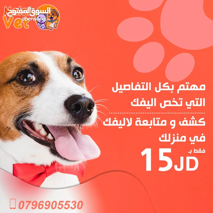 خدمات بيطرية متكاملة للحيوانات الاليفة