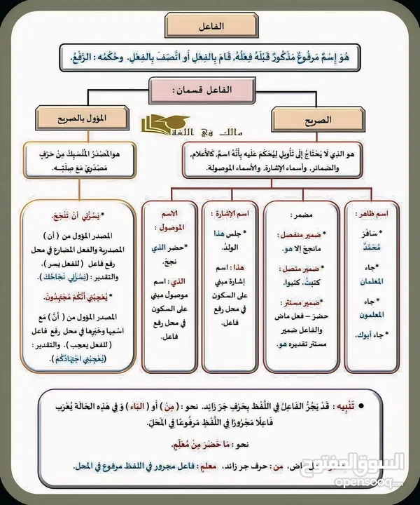 معلم لغة عربية خبرة 20 سنة