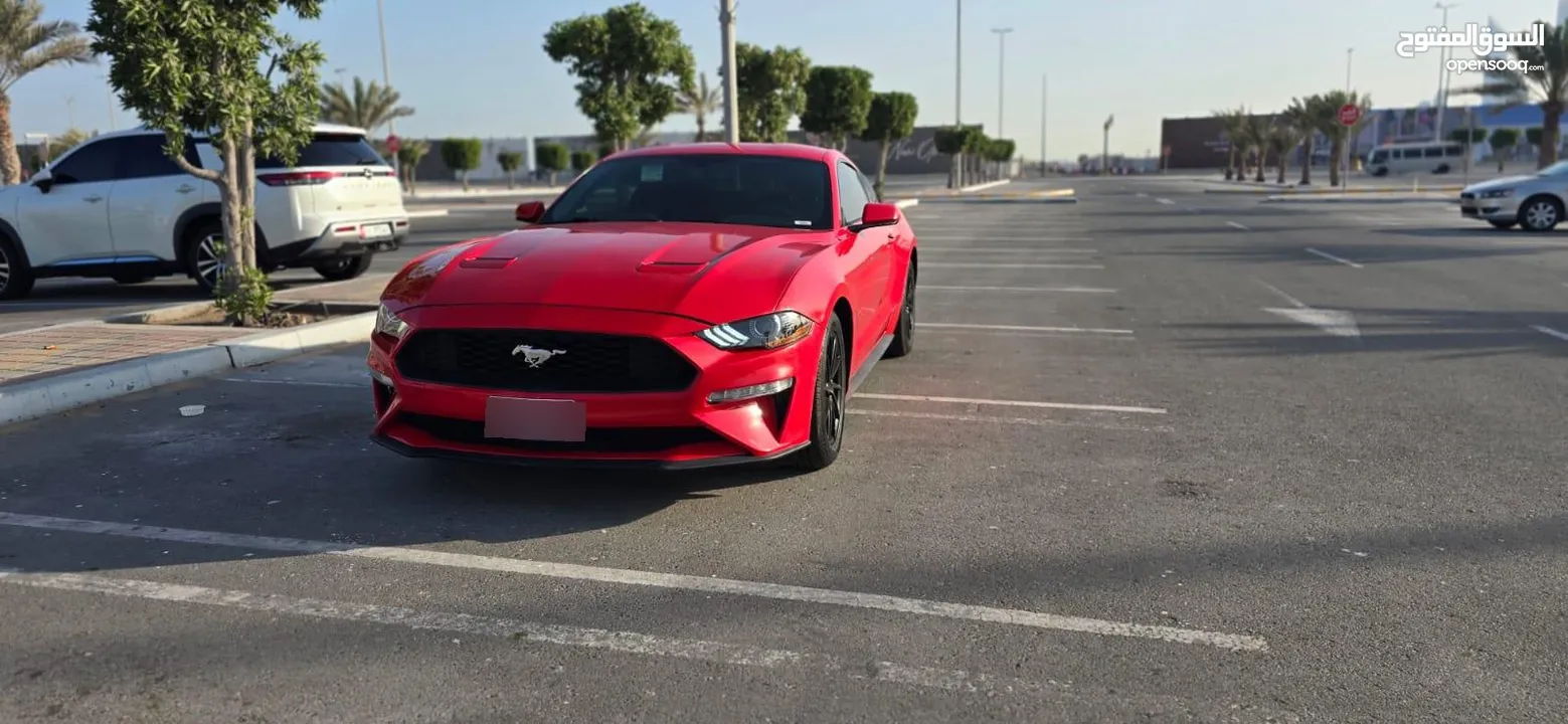 FORD MUSTANG 2019