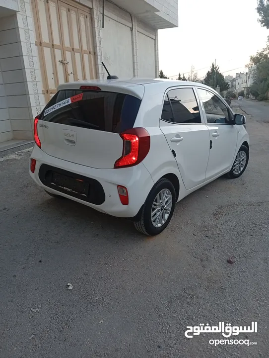 بيكانتو 2022 سعر حرق على الكاش إمكانية البيع نص كاش ونص شكات مع فرق في السعر