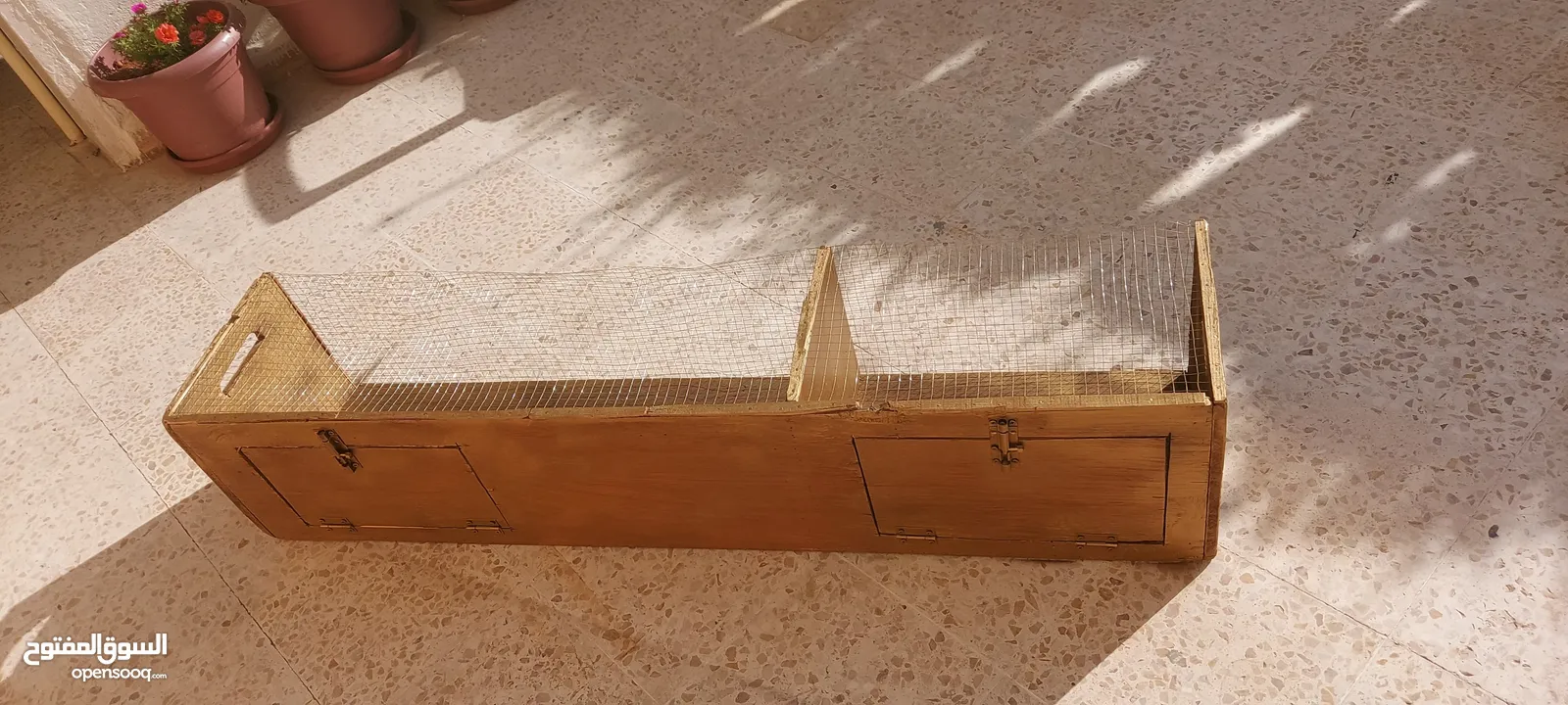 صندوق عرض للطيور للبيع