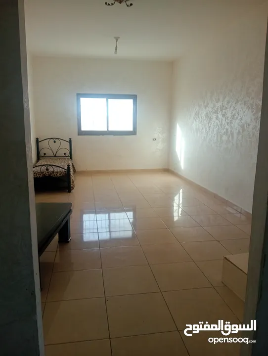 شقه سكنيه لليجار