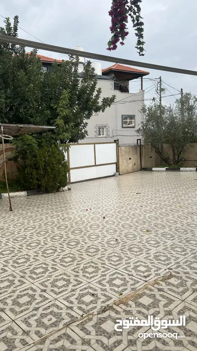 يوجد منزل مستقل في رمانة - منطقة العكد  مع ساحة وجدران ولها مدخلين ومع دونم ارض  مساحة المنزل 220م